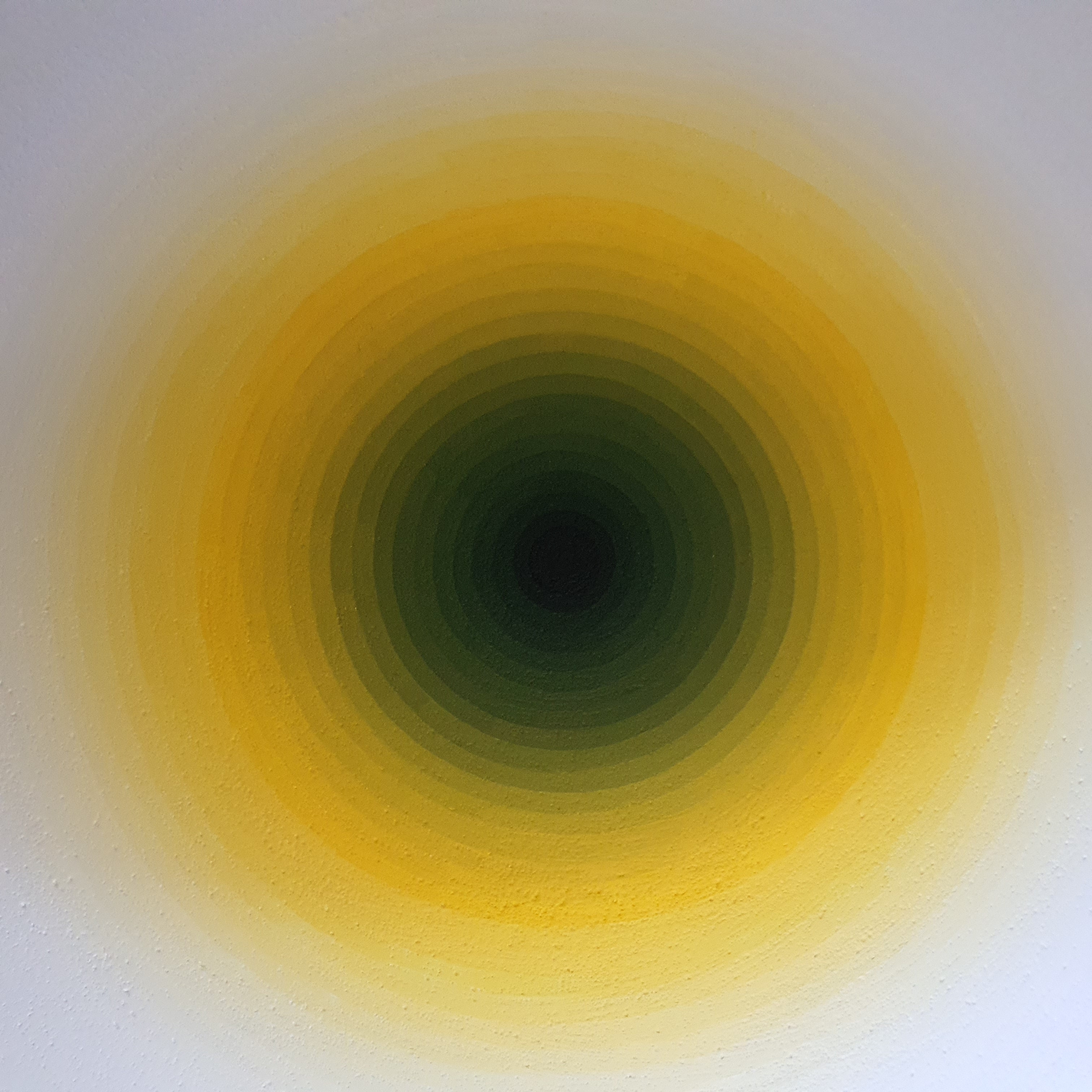 Yellow to black concentric shell works